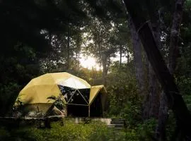 Cabo Real Luxury Glamping