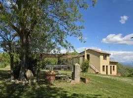 Agriturismo Collina degli Ulivi