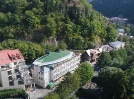 New Aisi Borjomi