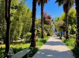 Majorelle, une bouffée d'oxygène