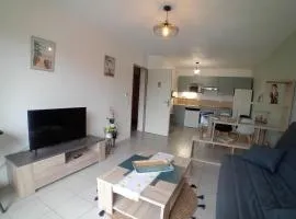 Appartement charmant proche plage avec terrasse et parking - FR-1-239-1119
