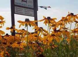 Aroostook Hospitality Inn - Washburn