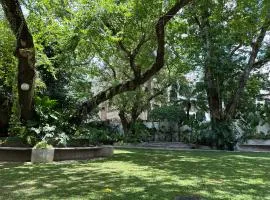 MiraNamin Nest BANABA Suite in Unique Historic Home - Garden View, Shared Kitchen, Rooftop, Pet Friendly with a Fee