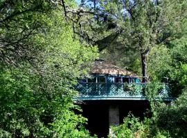 Tree House Yurt