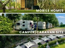 Seregnér Agricamping & Homes - Adults Only 18