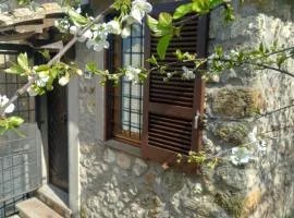Autenticum Agriturismo Tolfa
