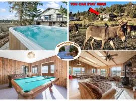 Wild Burro - Close to Lake and Slopes