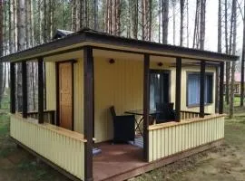 Reinholdi metsamaja