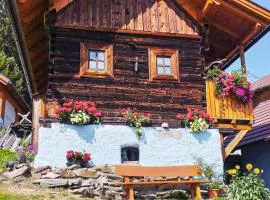 Ferienhaus Mit Sauna