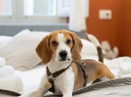 Gli amori di Carolina- Pet Friendly Apartment - Palazzo Carolina