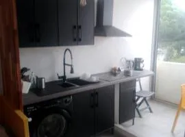 Les Appartements De Lina - Trianon 38 - Self Check-In -