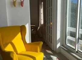 Apartment T2 1st floor Pools Porto Martins