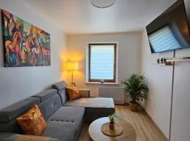 Apartament Radiostacja IX, parking free
