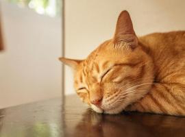 Siyada Villa, Hotel in Strand Lamai