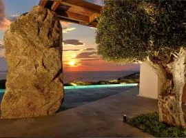 Majestic Mykonos Villa 5 Bedrooms Villa Shannon Private Infinity Pool