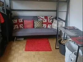 Nice room in Basel, Switzerland