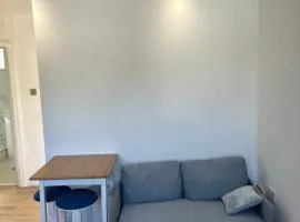 1 bedroom near Wimbledon lawn tennis museum