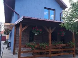 Casa rustică săceleană