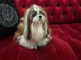 Hotel Lenart, отель в Величке