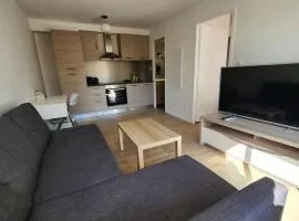 T2 Cité de l'Espace -4Pers - fully equipped