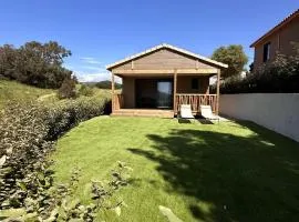 Les collines de lava