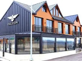 Hotel Falcon