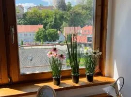 Top Lage Krems - 100m2 - 2 Schlafzimmer mit Garage
