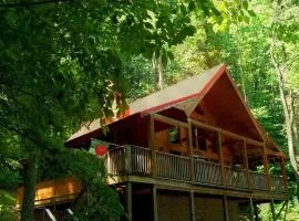 Alpine Joy-Hot Tub, Pond Access ,Cozy Cabin Retreat in the Smokies