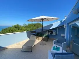 CASA BLUE DREAM