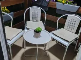 Sveti Luka- OBRADOVIĆ SOKAK 41