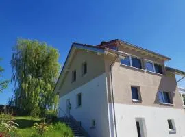 Panorama Apartment mit 2 Schlafzi im Allgäu mit Balkon
