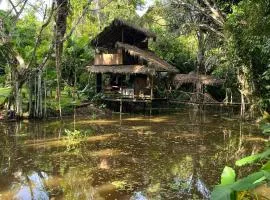 Amazon jungle cabin - satorinatural