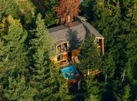 Cottage Galileo in Abastumani