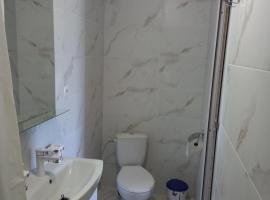 Hotel Halas, Hotel in Tyachiv
