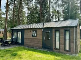 Unique chalet with terrace in Beekbergen