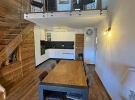 Duplex Prestige 9 Pers - Terrasse Sud - Face aux Pistes - Animaux Acceptés - Parking - FR-1-445-220