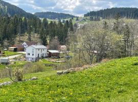Ferienwohnung am Hirtenpfad, hotel i Lenzkirch