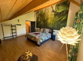 les anthocyanes CHAMBRE FORET