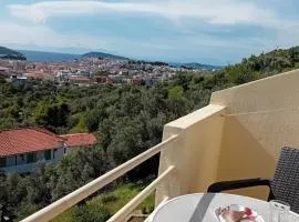 Villa Krini