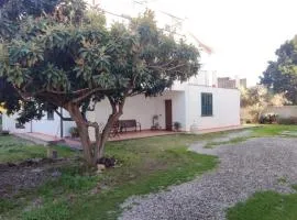 'A Nespulara