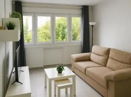 Viveiro MSuites