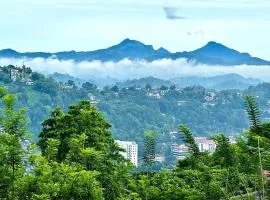 Mount View