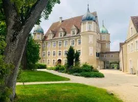 Schloss Hürbel Storchennest-Appartement - Luxury Apartment THE Stork Nest