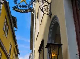 Goldner Stern Kaub