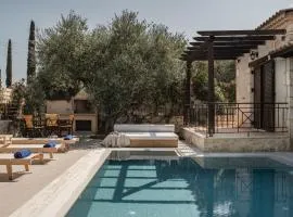 Viatzo Villas - Eclectic Villas with Heated Saltwater Pools