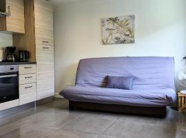 Studio Occitanie 20 m2 tout équipé avec jardin, hotel v destinaci Muret