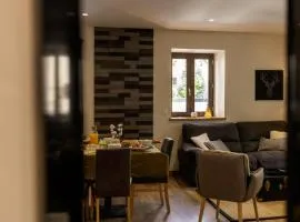Charmant appartement 4 pièces, 6 pers, balcon Sud-Ouest, centre Valloire, proche pistes et commerces - FR-1-263-361