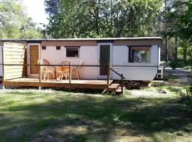 Tinyhaus2 idyllisch am Waldesrand
