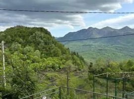 Lipovac guest house