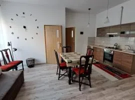 Apartament nad jeziorem